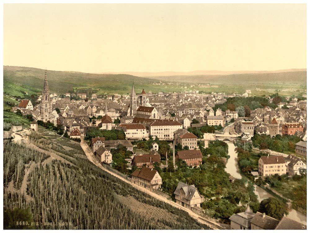 Esslingen seen from Dreikaiserfallsen, Black Forest, Baden, Germany 0400-3374