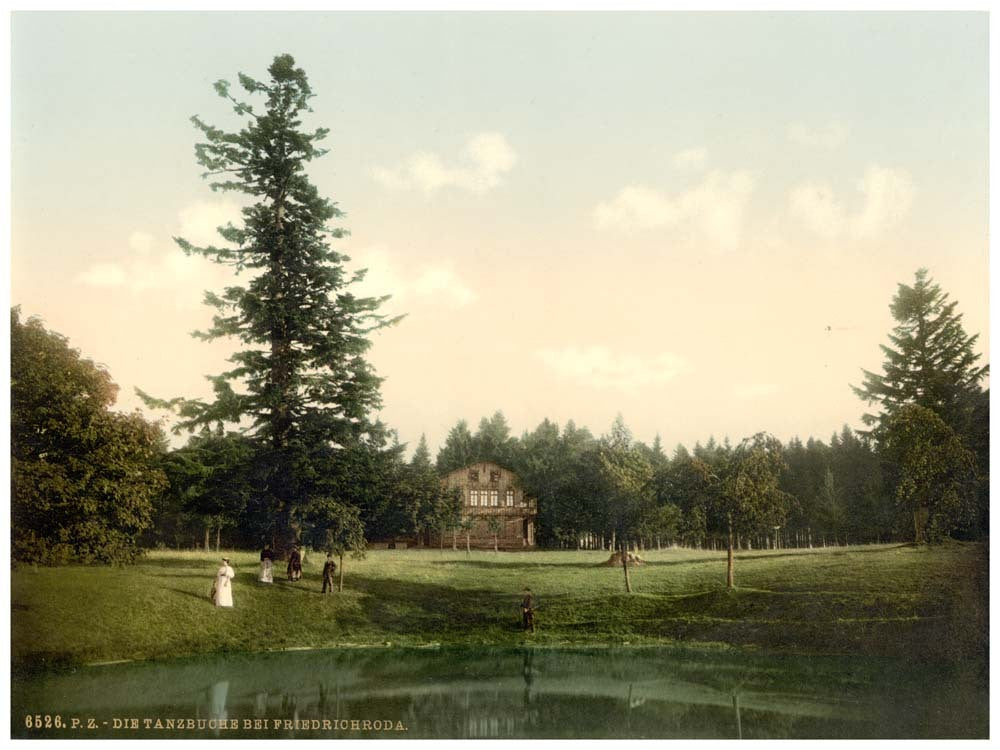 Dancing pavillion , Friedrichrhoda, Thuringia, Germany 0400-3684