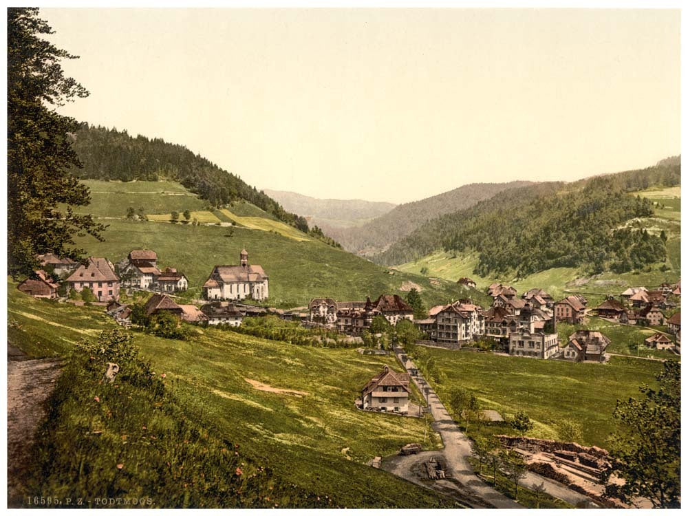 Todtmoos, general view, Black Forest, Baden, Germany 0400-3884