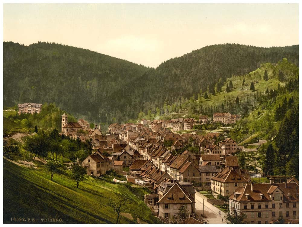 Treiberg, general view, Black Forest, Baden, Germany 0400-3885