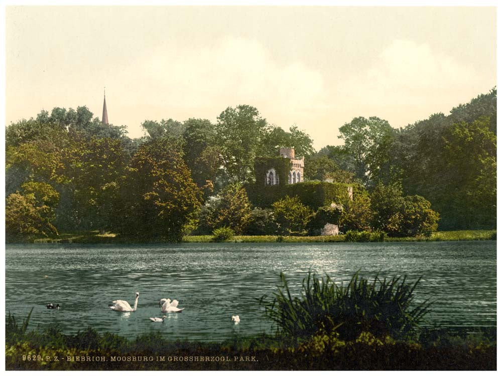 Grand Duke's Park, Moosburg, Biebrich, the Rhine, Germany 0400-3979