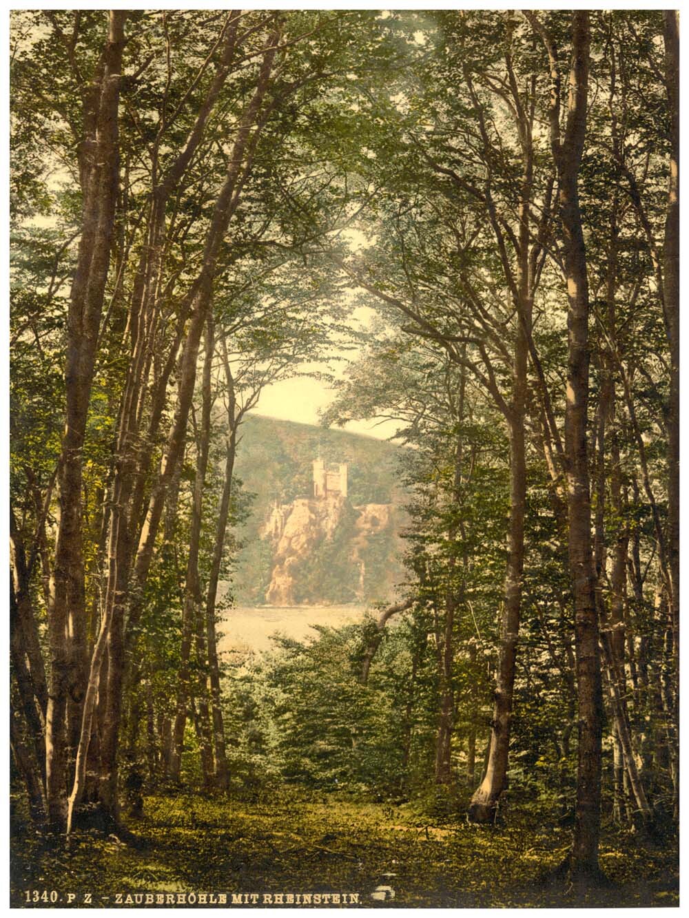 The Zauberhole (Enchanted Grotto) and Rheinstein, Niederwald Monument, the Rhine, Germany 0400-4042