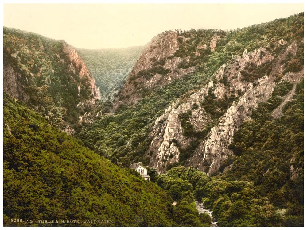 Waldkater Hotel, Thale, Bodethal, Hartz, Germany 0400-4254