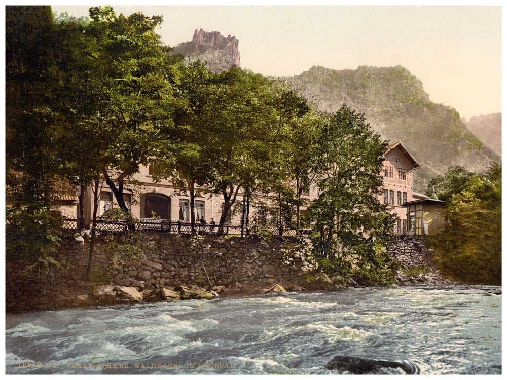 Waldkater, Thale, Bodethal, Germany 0400-4256