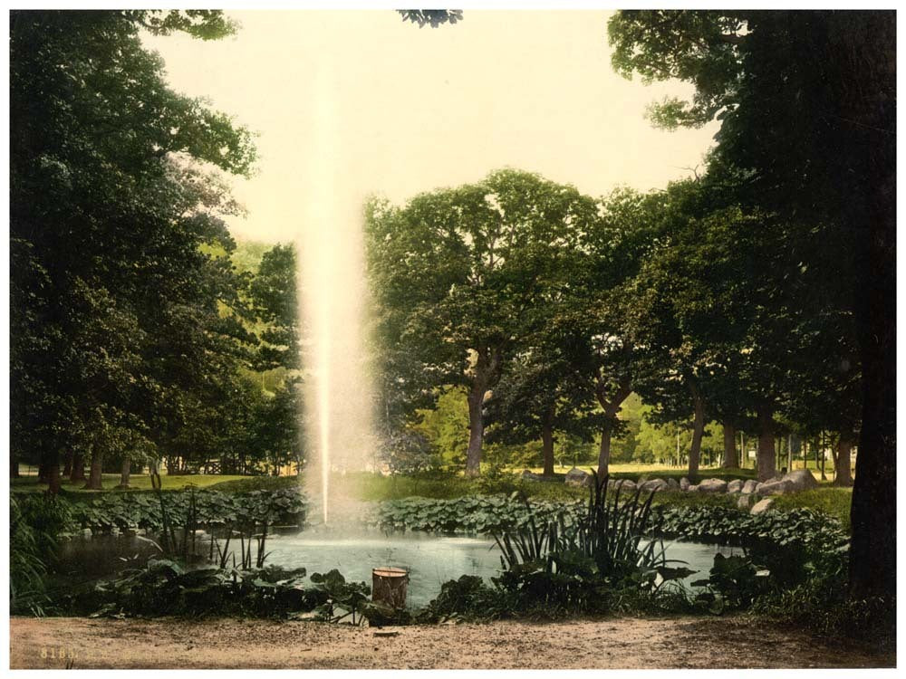 Under the oaks, Harzburg, Hartz, Germany 0400-4293