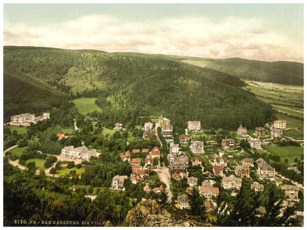 The villages, Harzburg, Hartz, Germany 0400-4296
