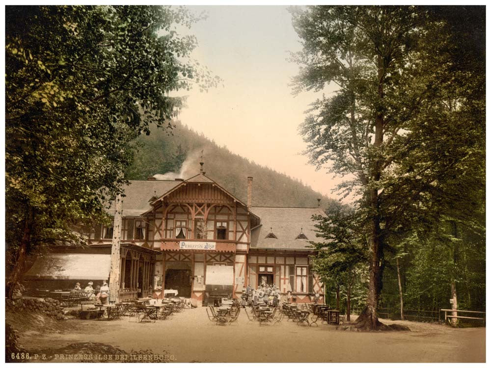 The Princess Isle, Ilsenburg, Hartz, Germany 0400-4300