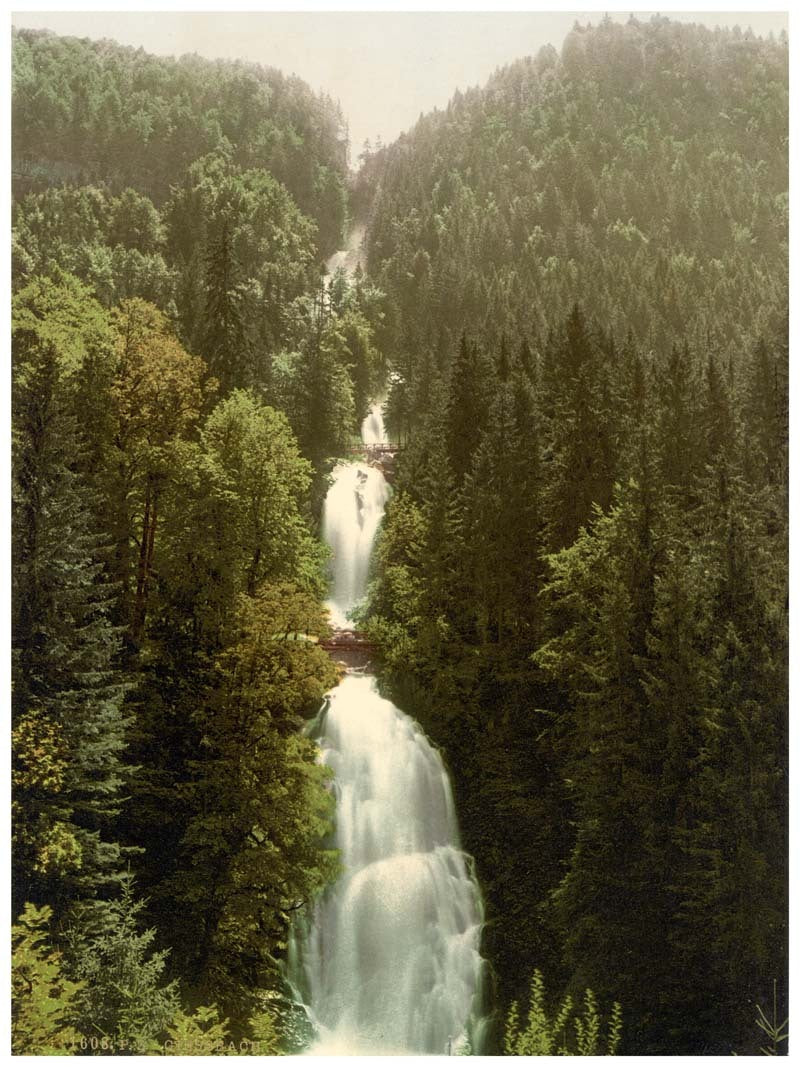 Brienz Lake, the Giessbach, Bernese Oberland, Switzerland 0400-4641
