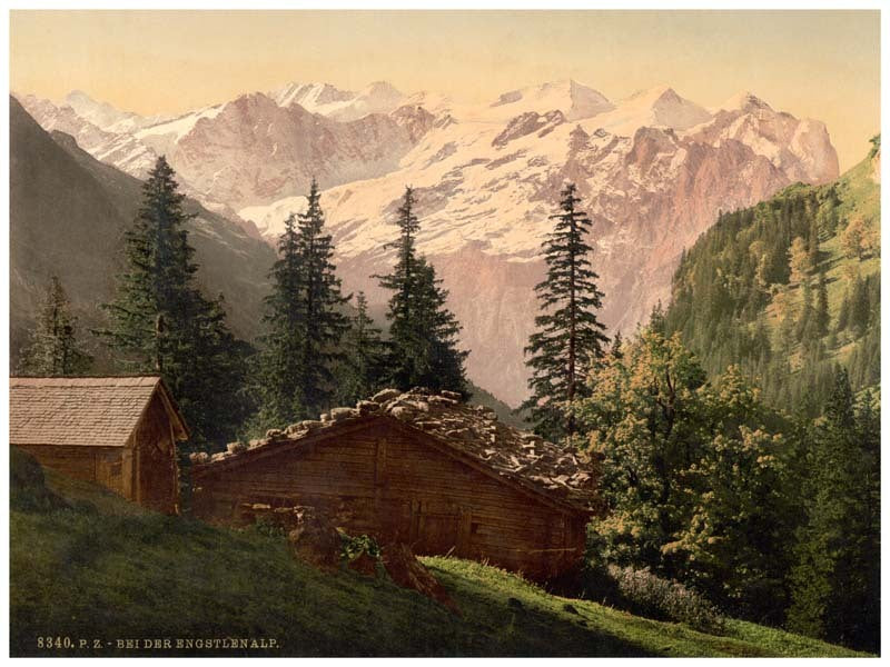 Engstlenalp (a near view), Unterwald, Switzerland 0400-4785