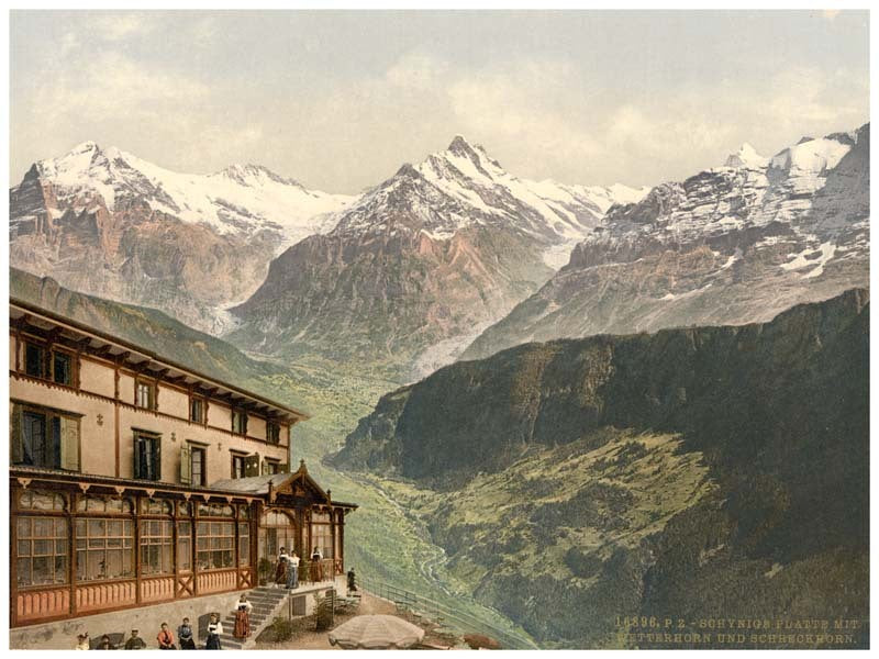 Schynige Platte, Wetterhorn and Schreckhorn, Bernese Oberland, Switzerland 0400-4914