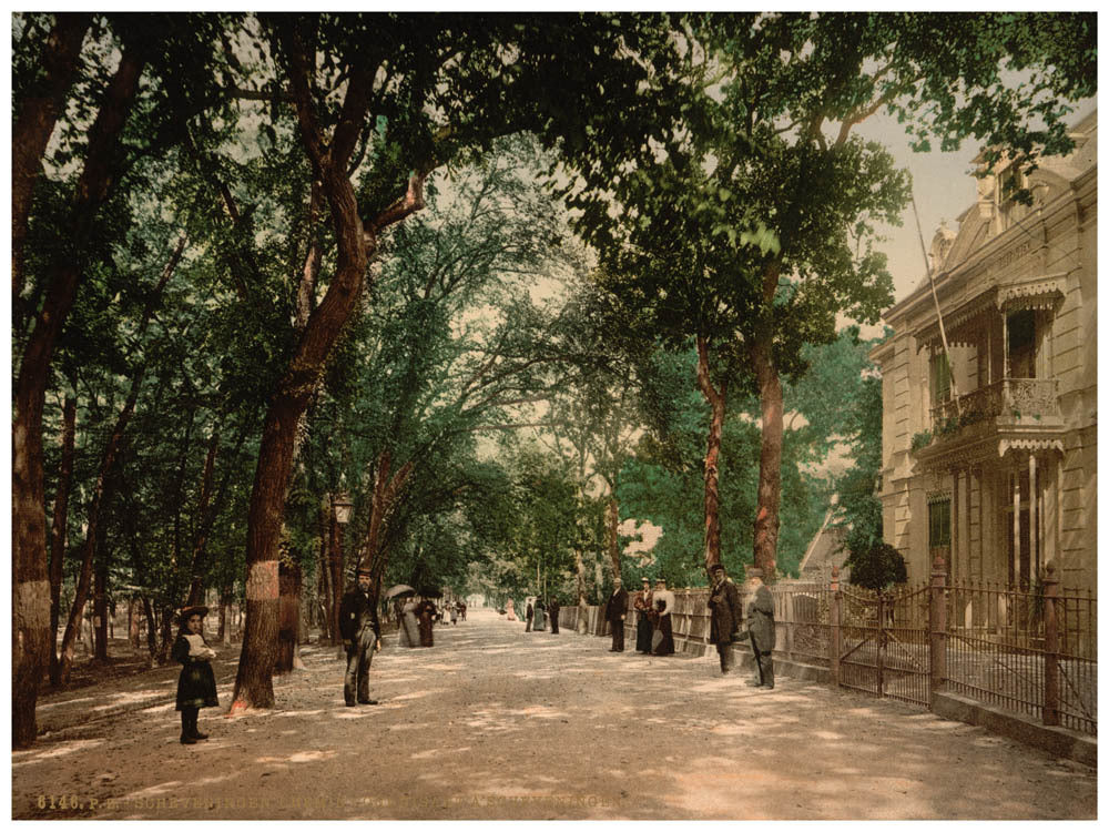 Road to Scheveningen, Scheveningen, Holland 0400-5249