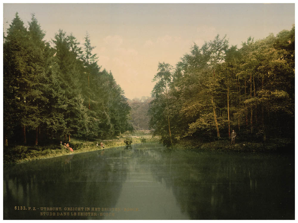 In Zeister Wood, Utrecht, Holland 0400-5264