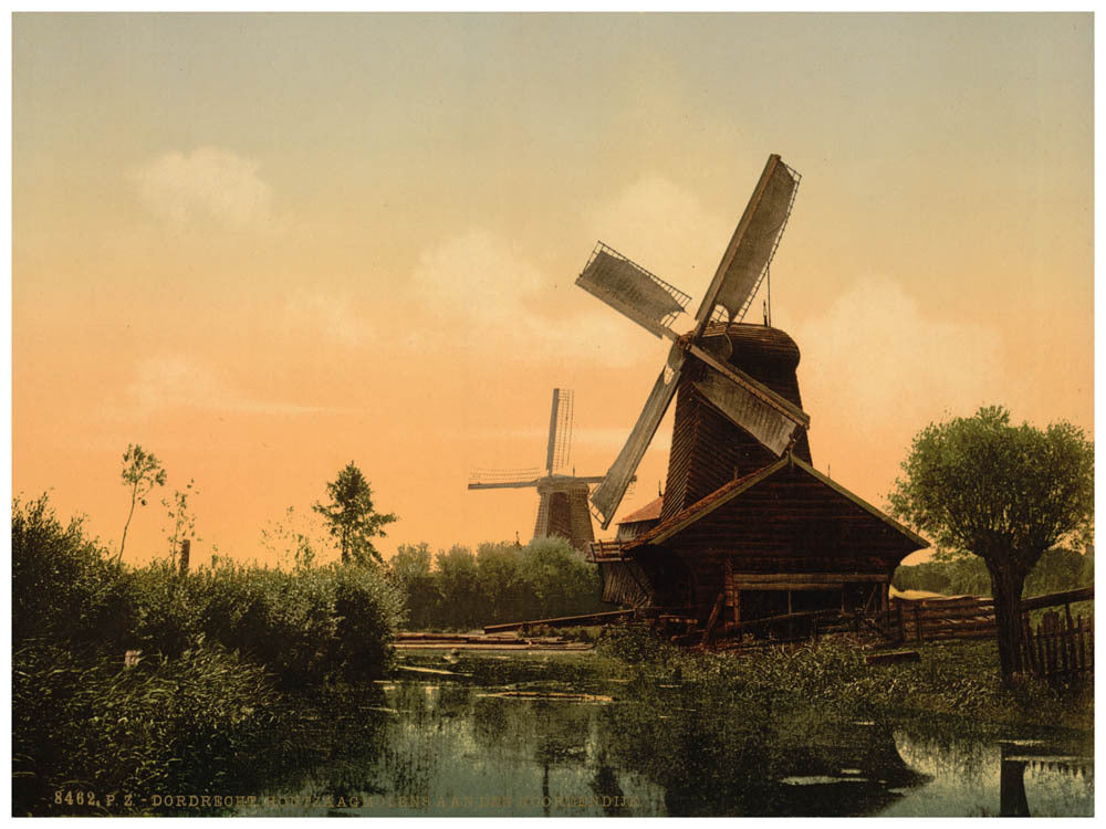 Windmills on the Noordendijk, Dordrecht, Holland 0400-5689
