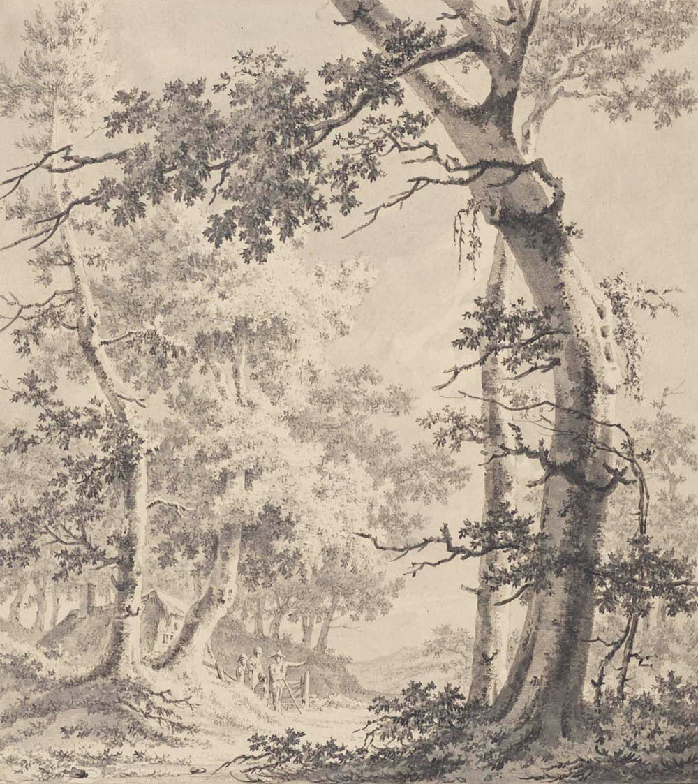 Wooded Landscape Gm-25600501