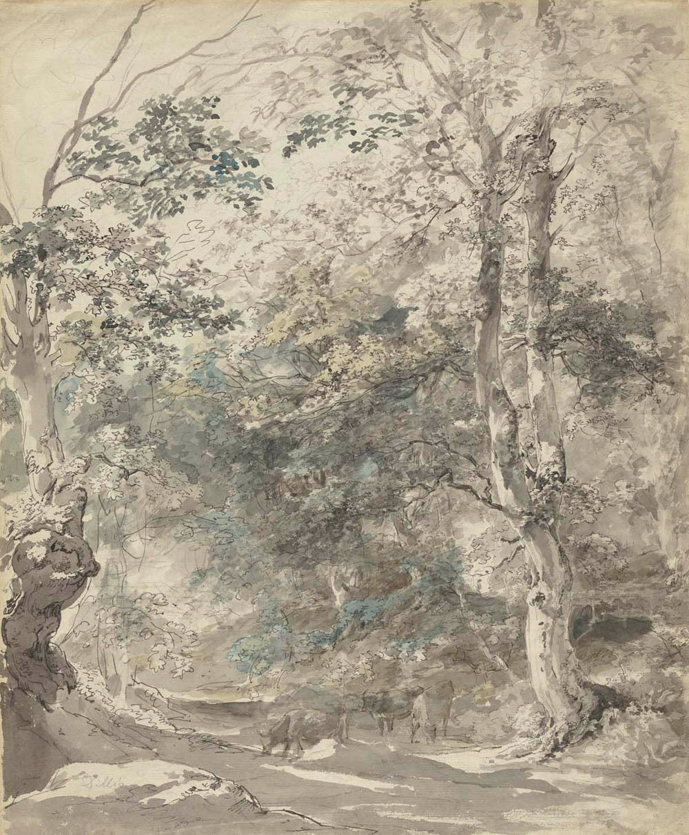 Wooded Landscape with Cows Gm-32688501