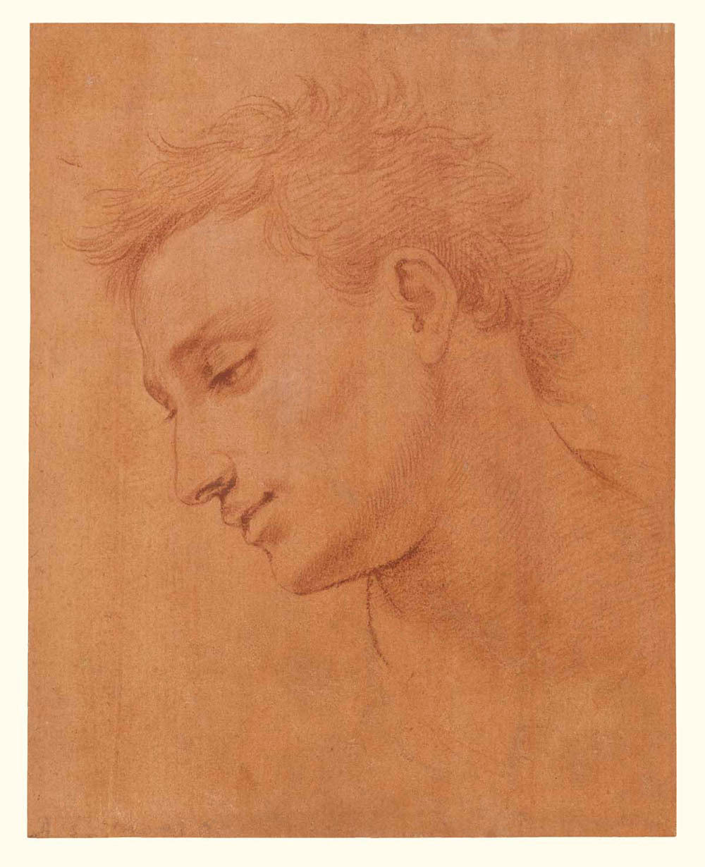 Head of Man in Profile to the Left Gm-34567701