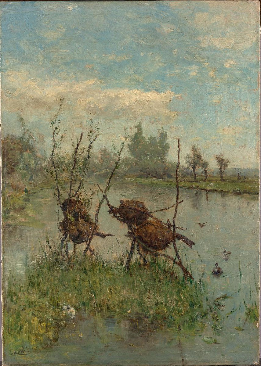 Ducks’ Nests
