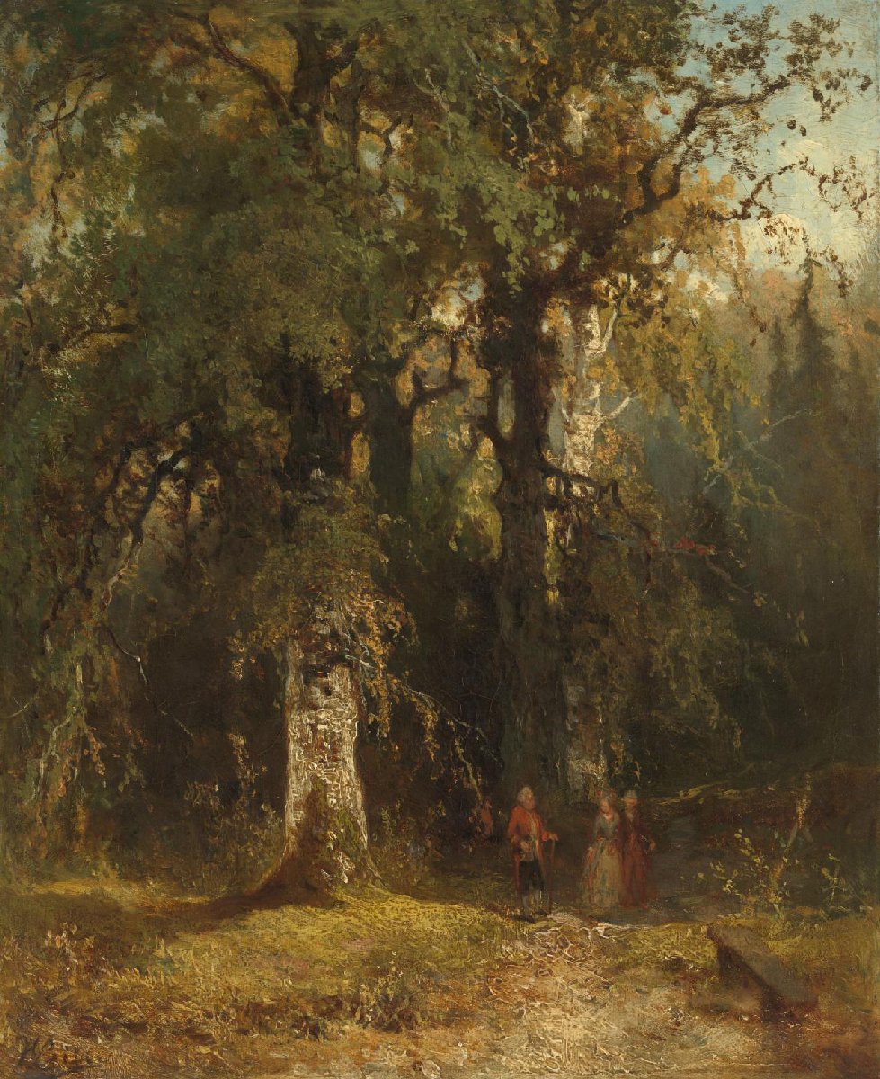 View in the Woods