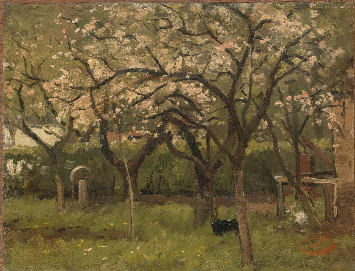 Blossoming Tree in an Orchard