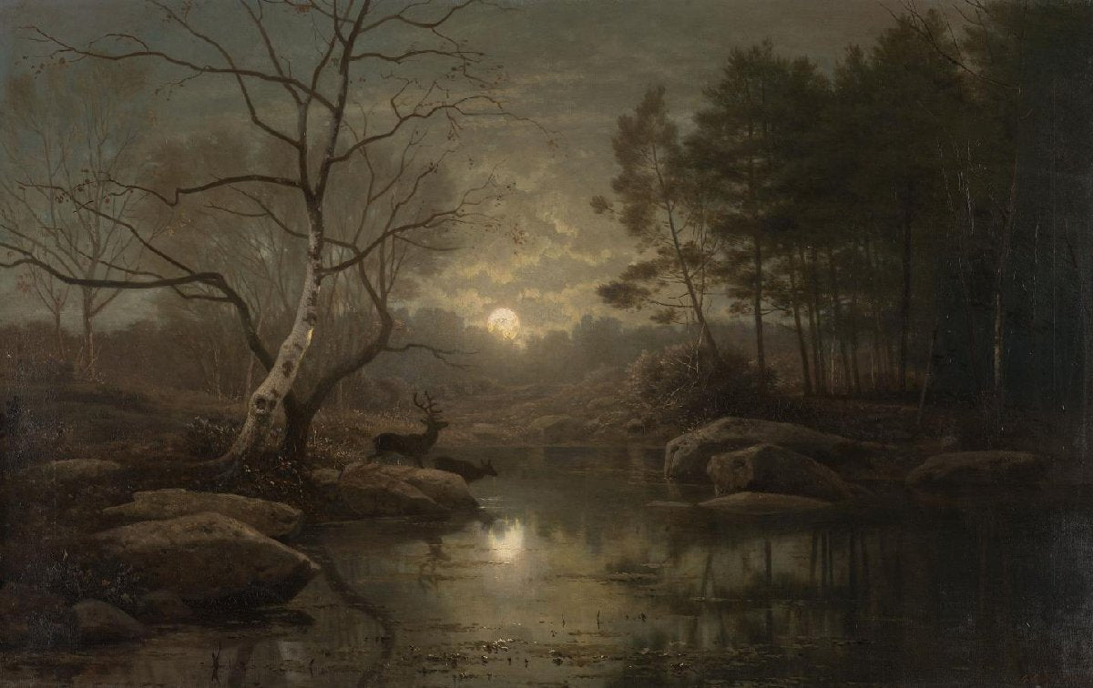 Forest Landscape in the Moonlight