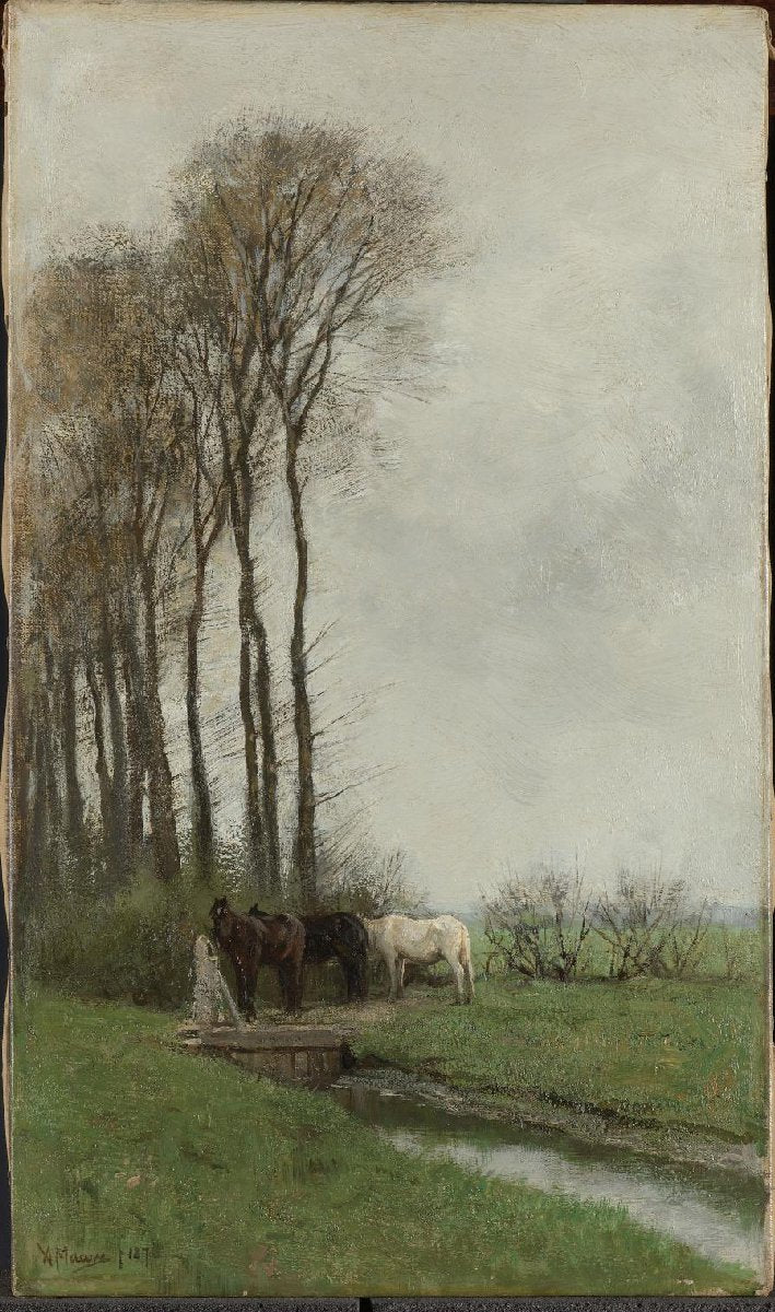 Paarden bij het hek