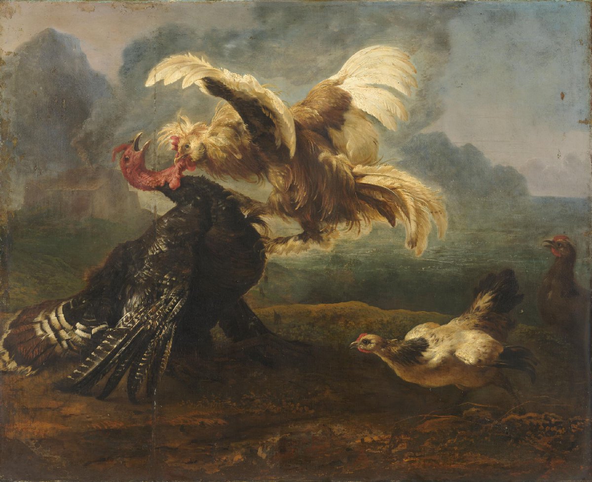 The Flemish Cock and the Turkish Cock
