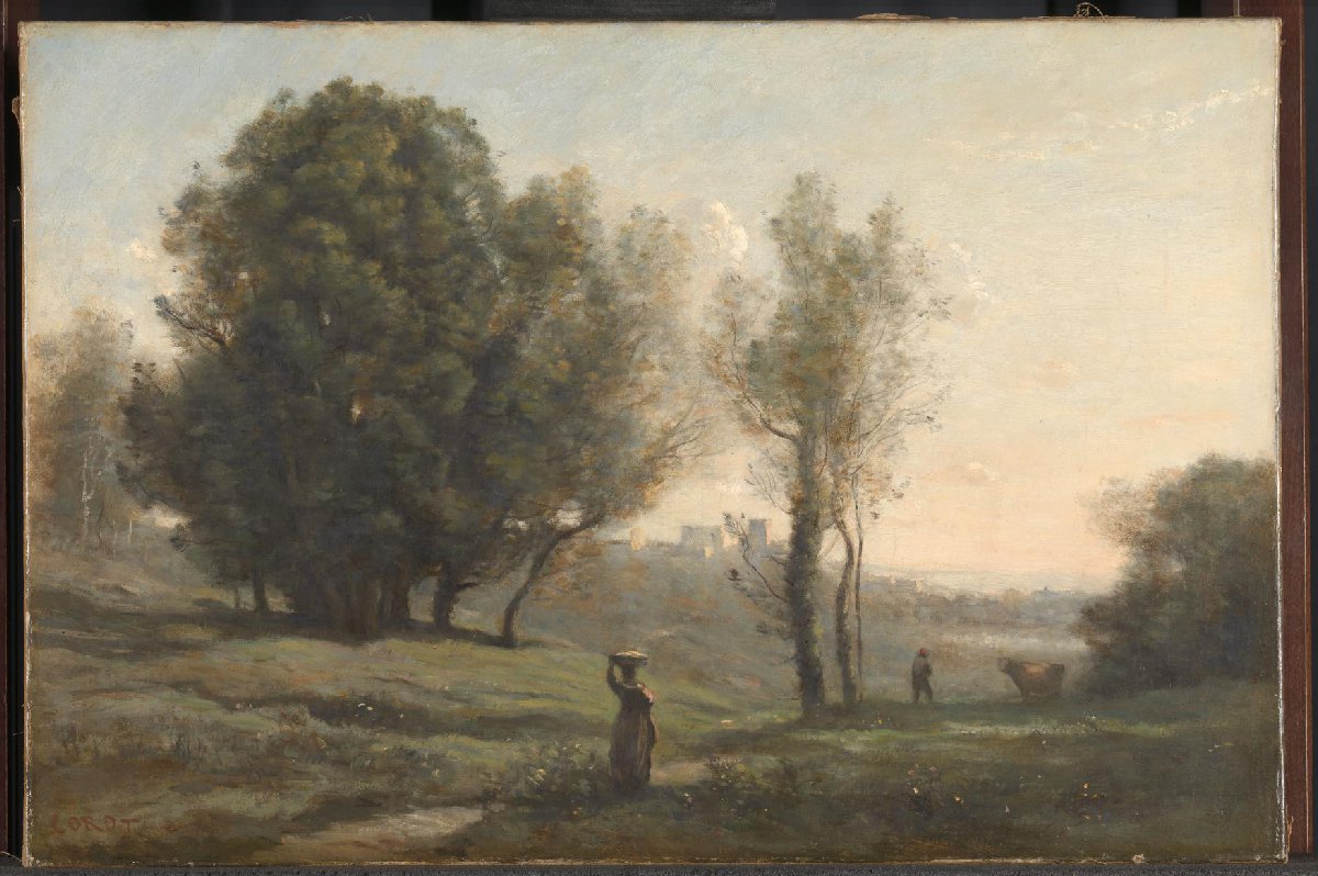 Landschap