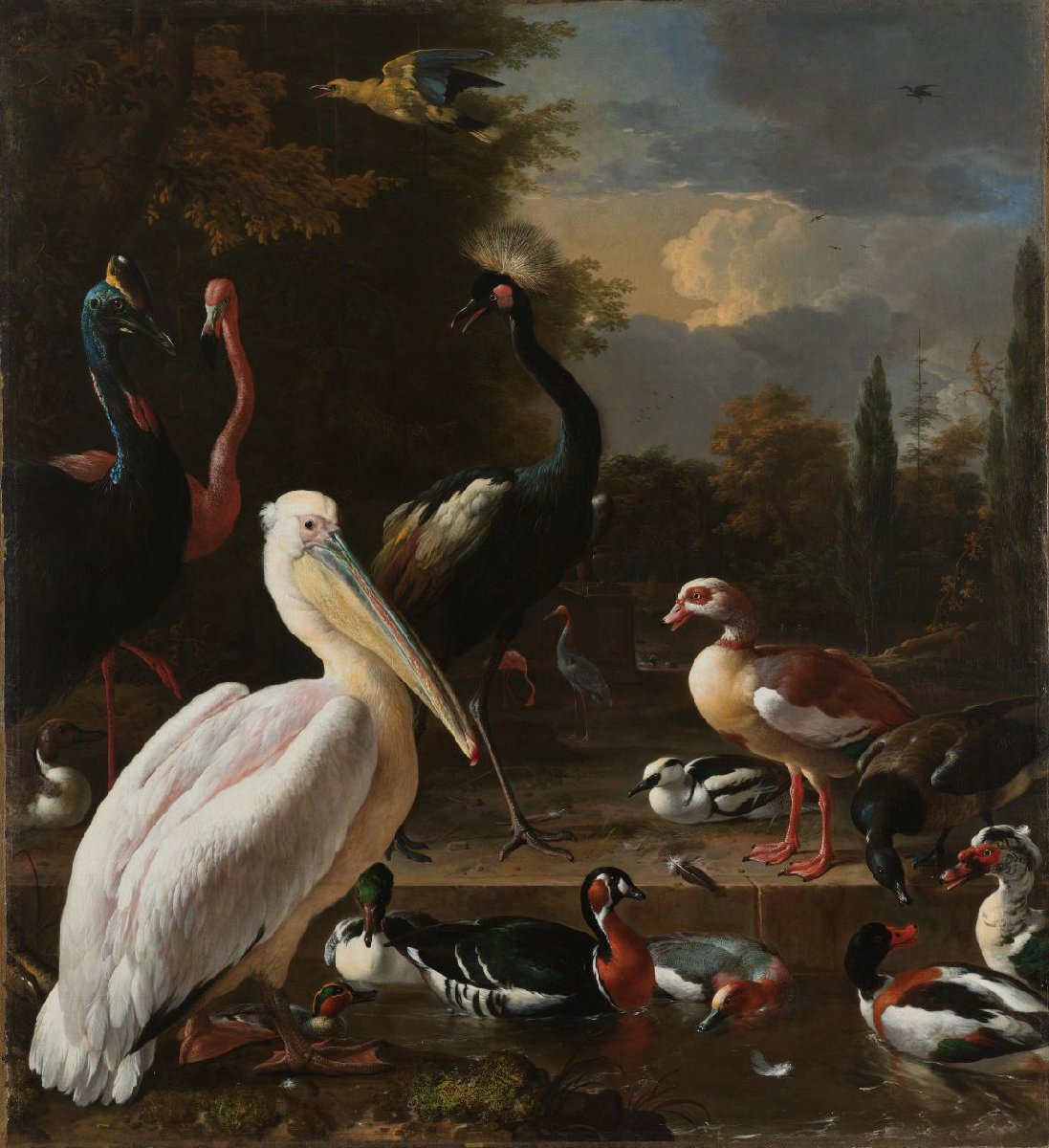 Een pelikaan en ander gevogelte bij een waterbassin, bekend als ‘Het drijvend veertje’