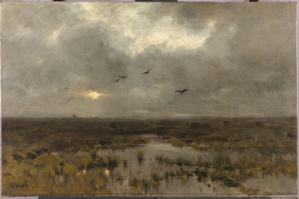The Marsh
