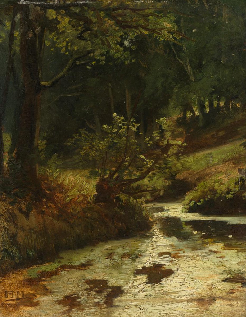 Beek in het bos bij Oosterbeek