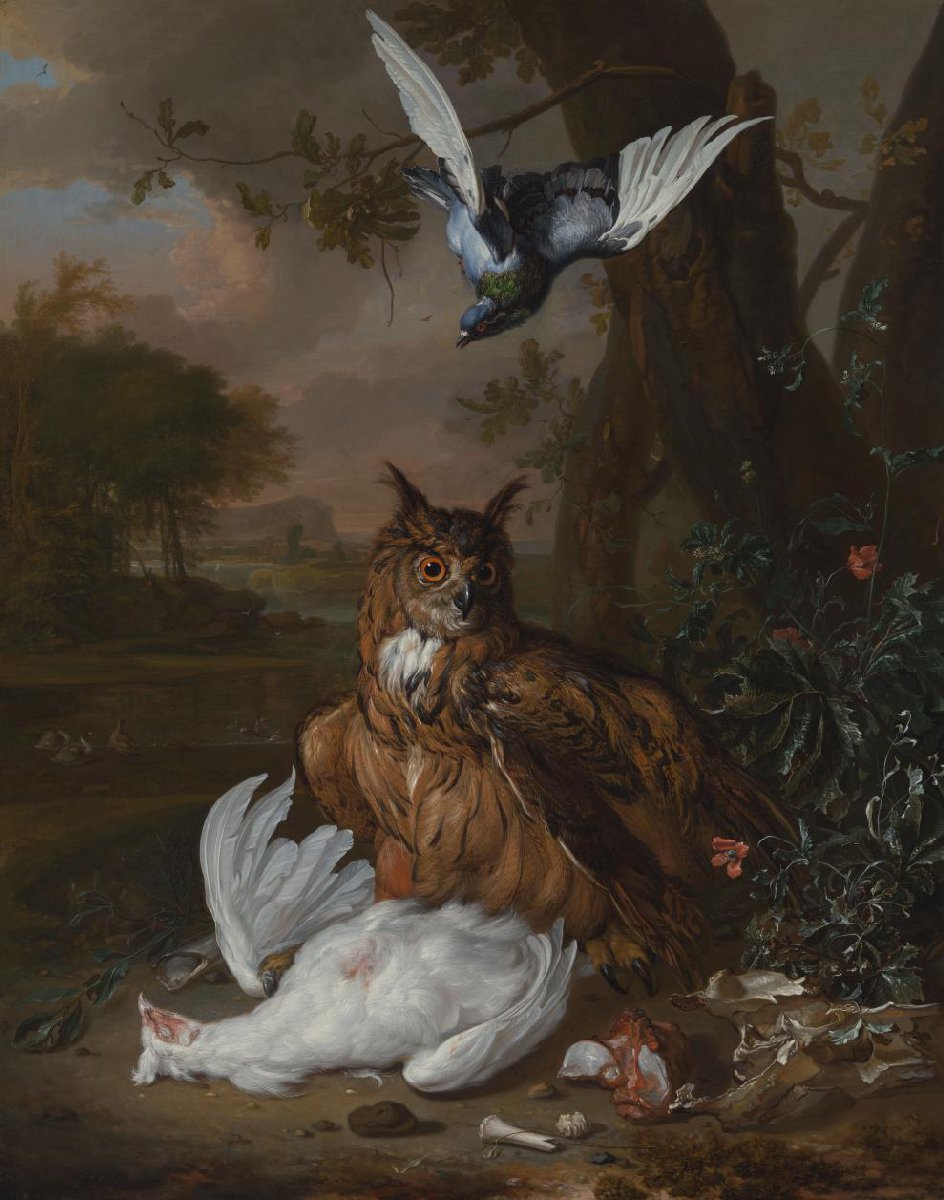 Een oehoe met andere vogels in een landschap