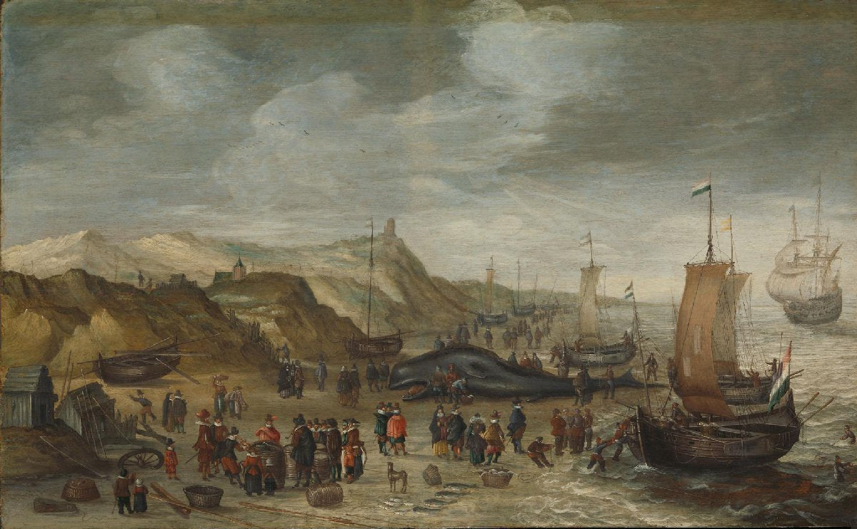 A Sperm Whale Washed up on the Beach at Noordwijk, 28 December 1614