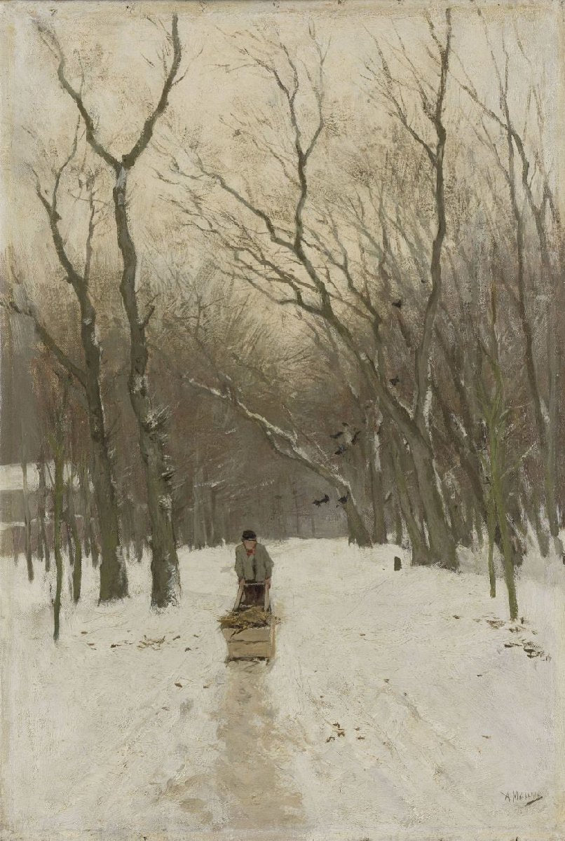 Winter in the Scheveningen Woods