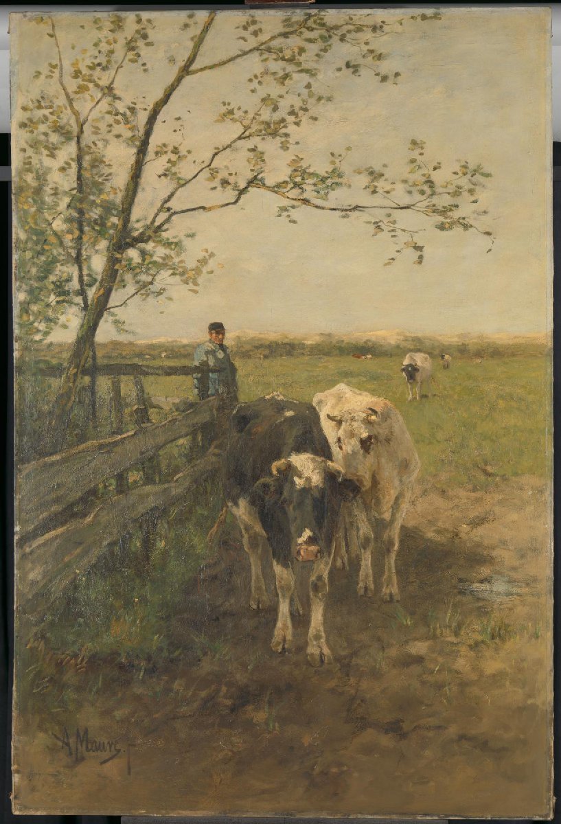 De melkbocht