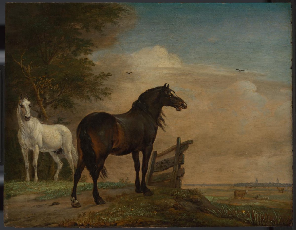 Twee paarden in de wei bij een hek