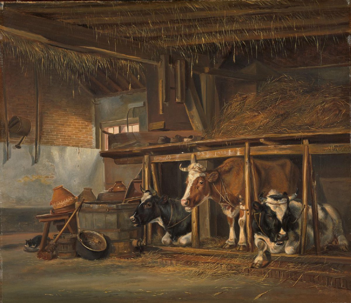 Cows in a Stable