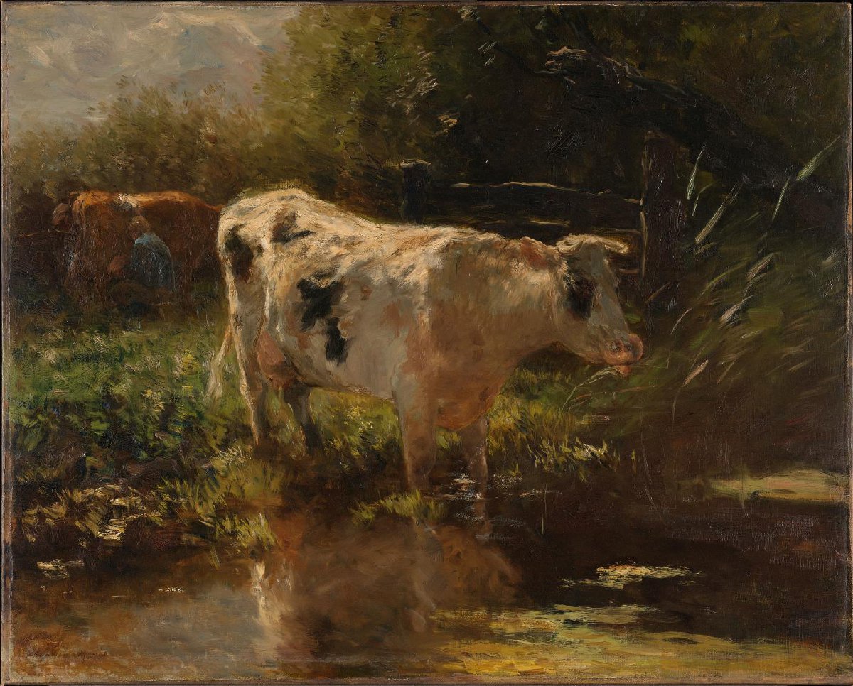Koe aan de slootkant