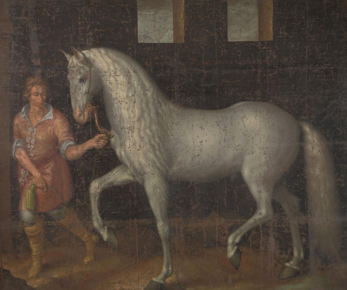 Spaanse strijdhengst
