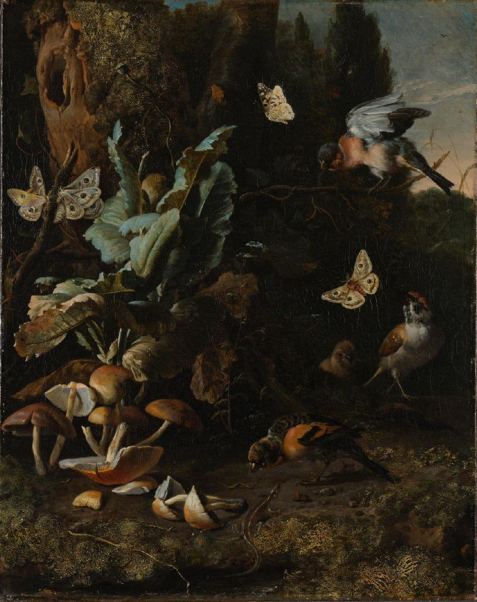 Forest Floor Still Life with Birds, Butterflies and a Lizard