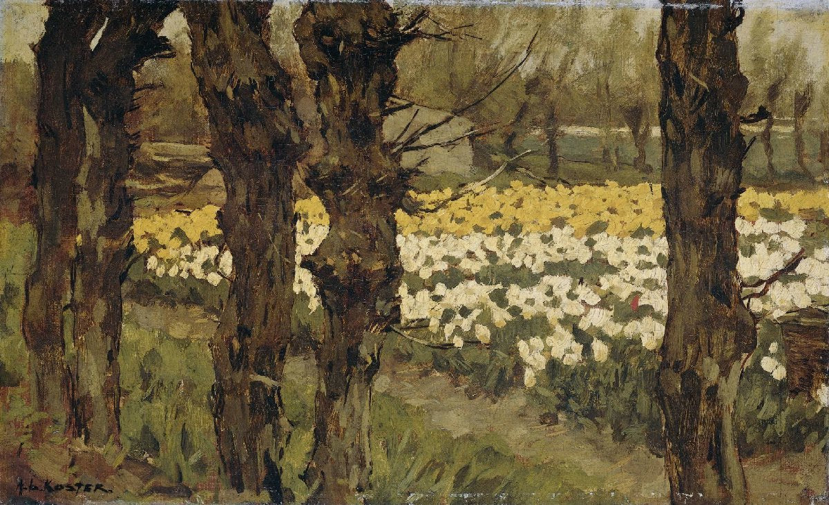 Tulip Fields