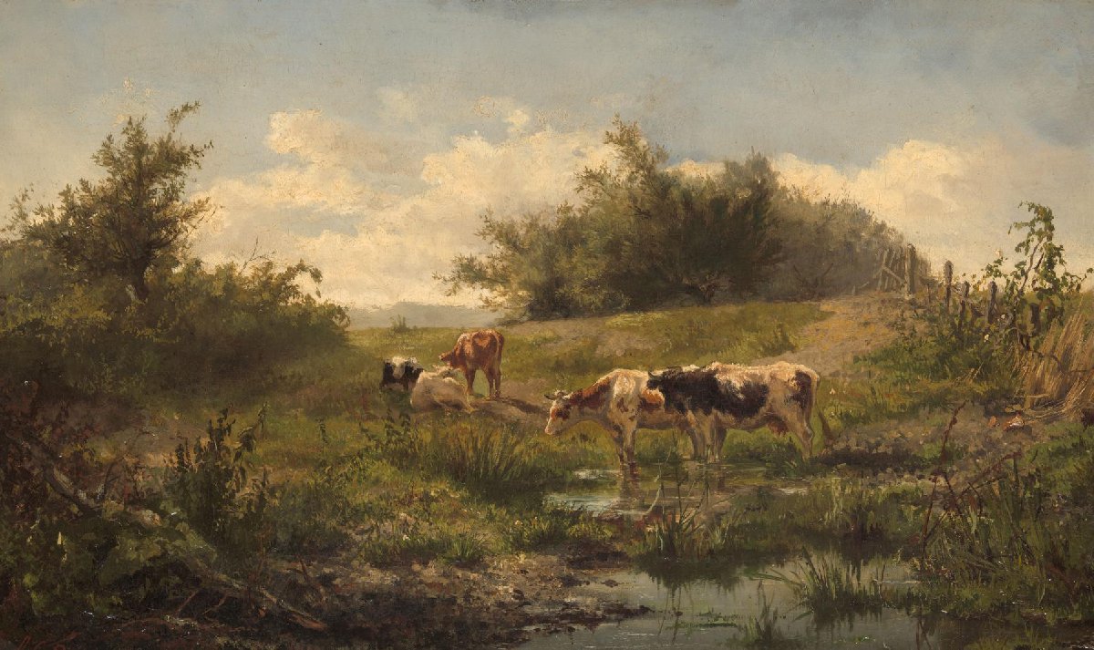 Cows at a Pond