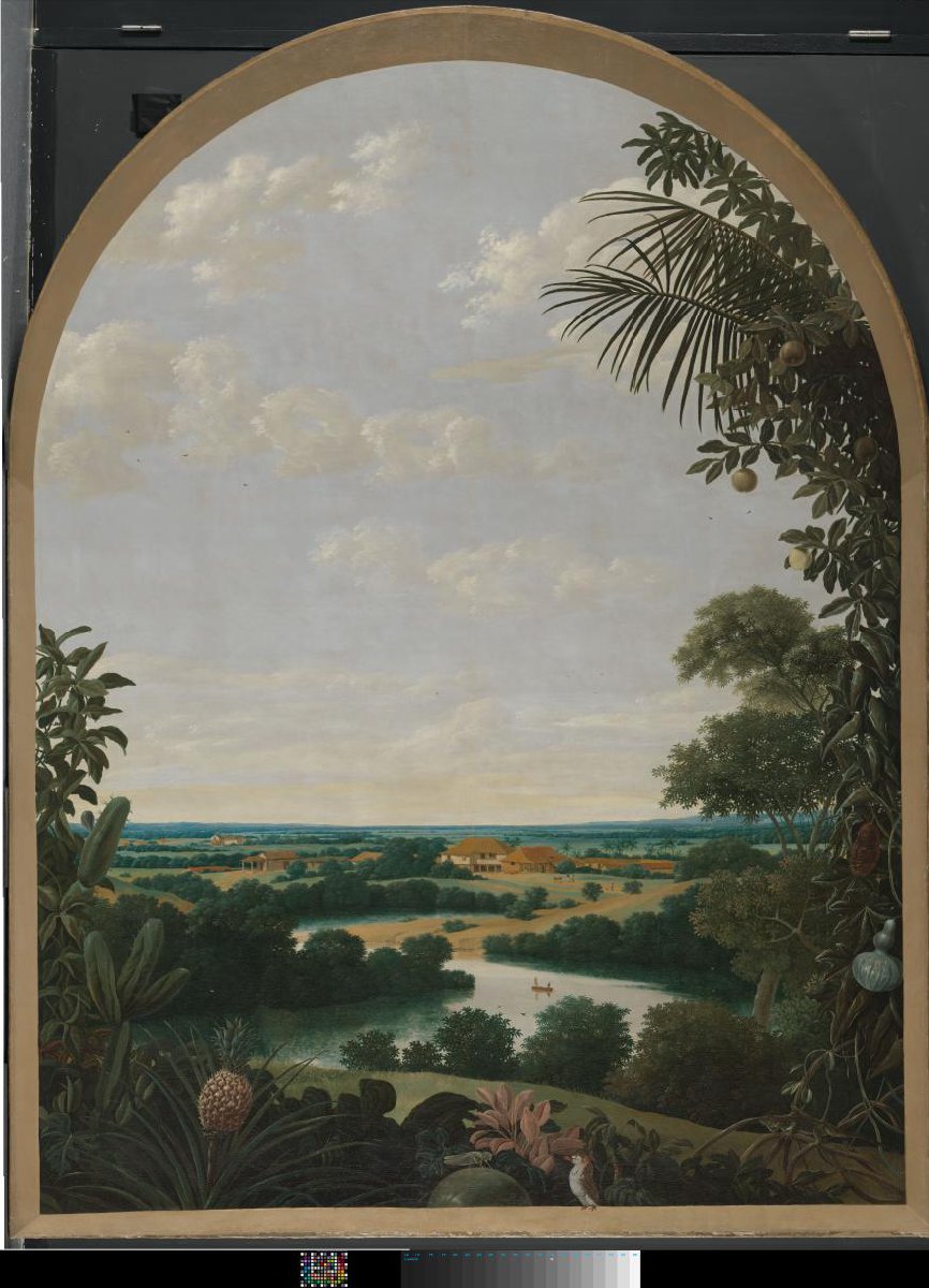 Landschap in Brazilië