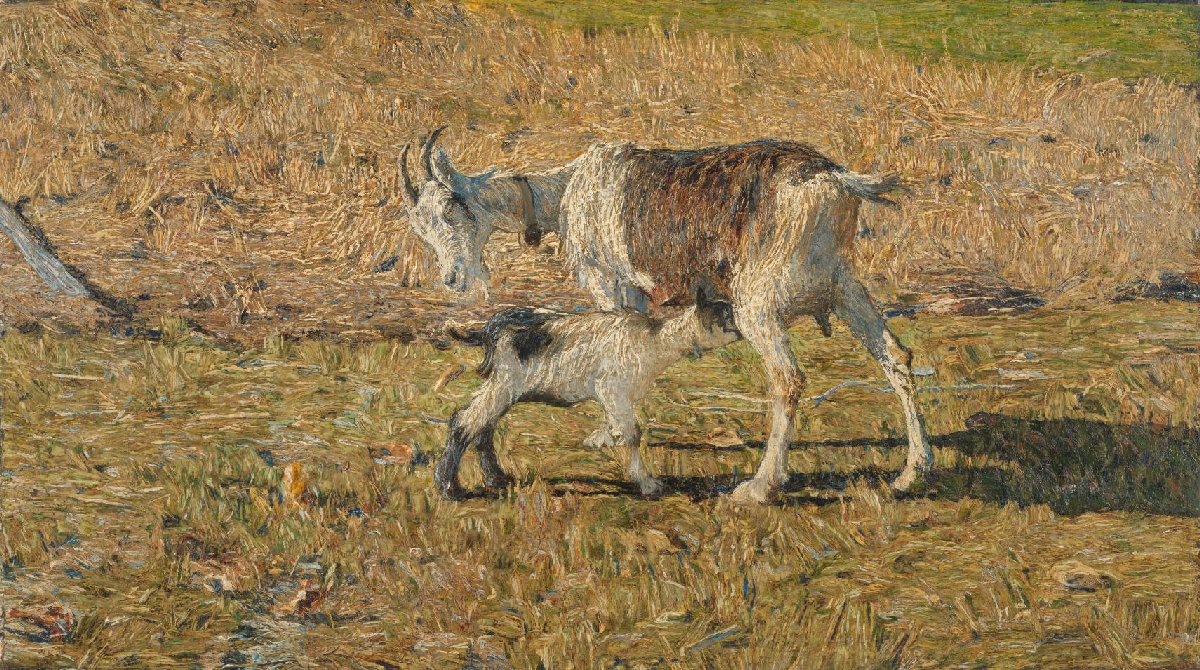 A Goat with her Kid