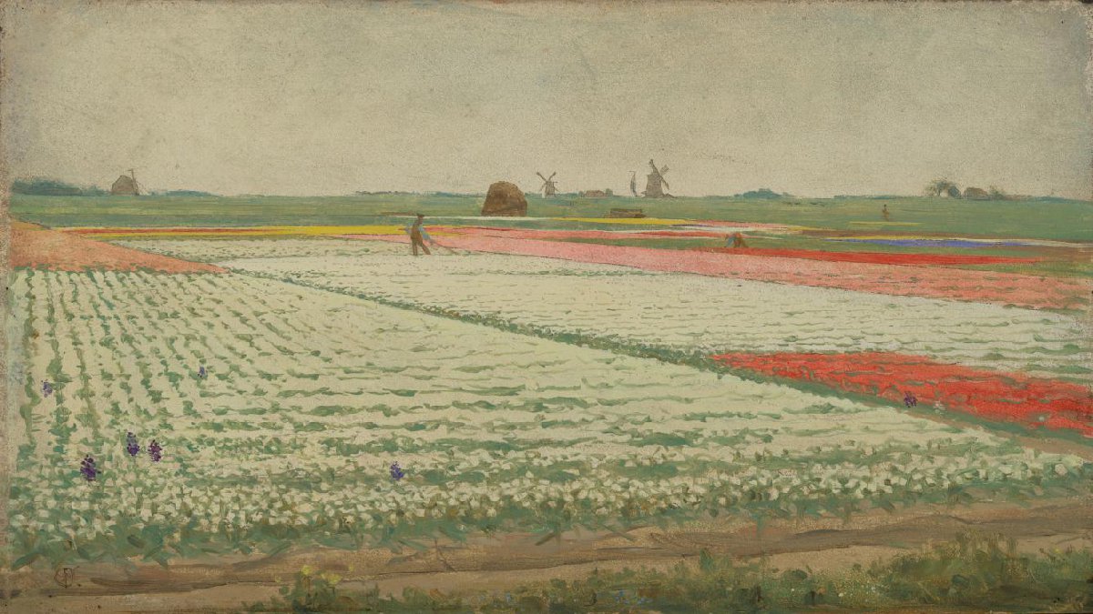 Tulip Fields