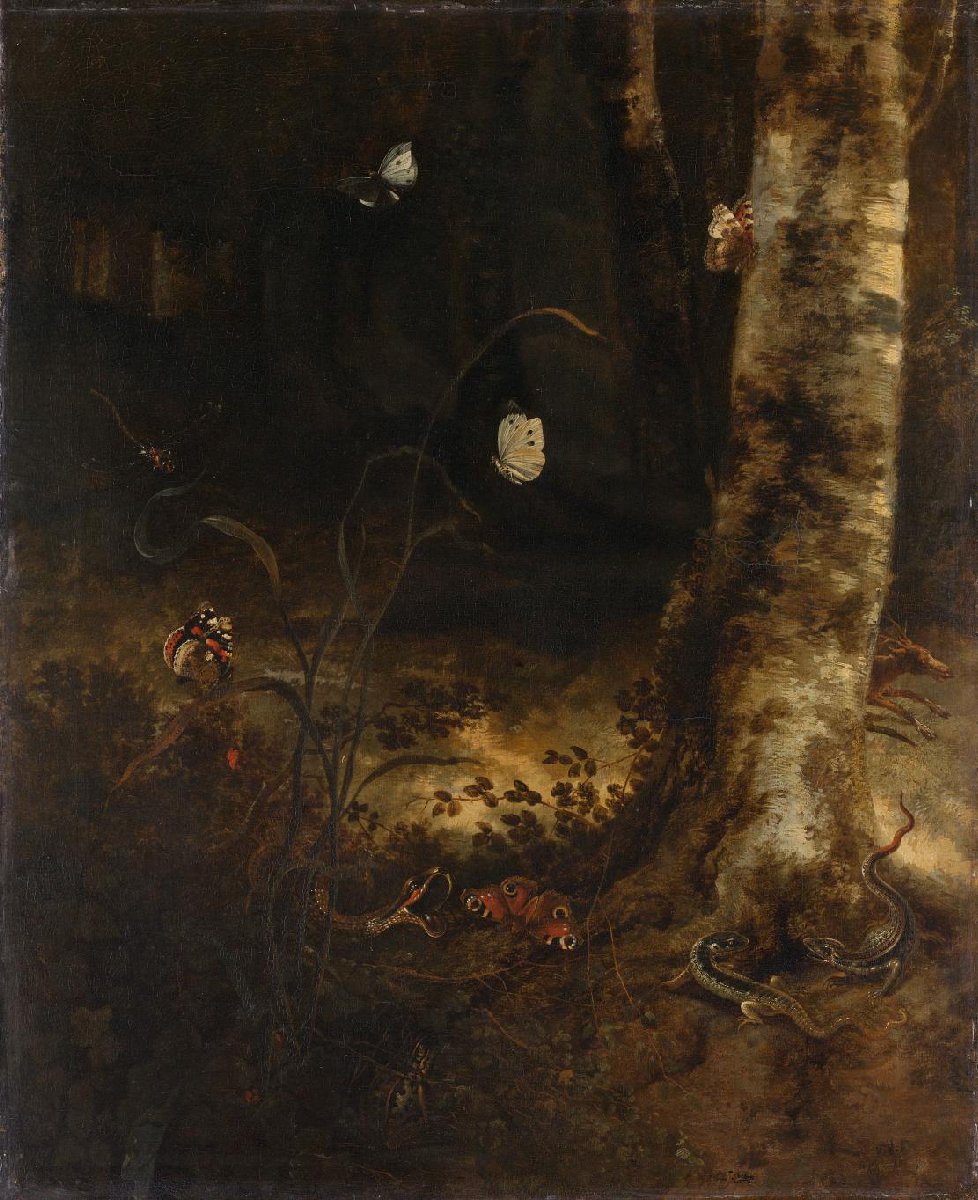Forest Floor with a Snake, Lizards, Butterflies and other Insects