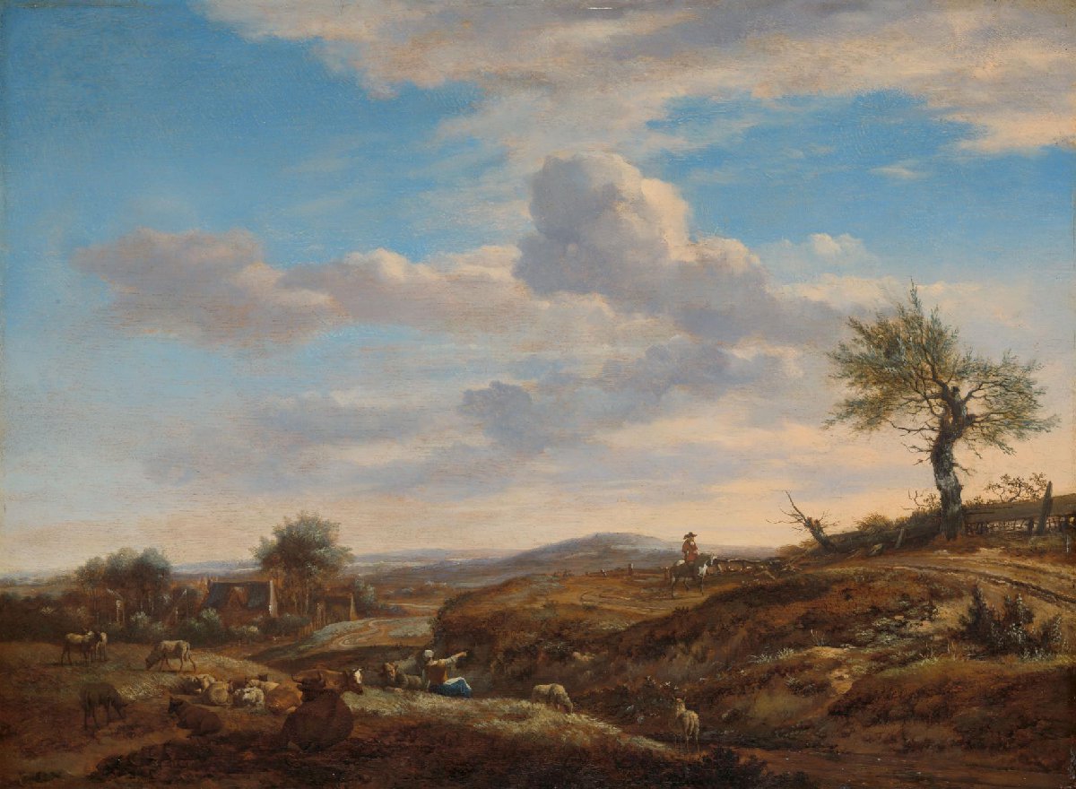 Heuvelachtig landschap met hoge weg