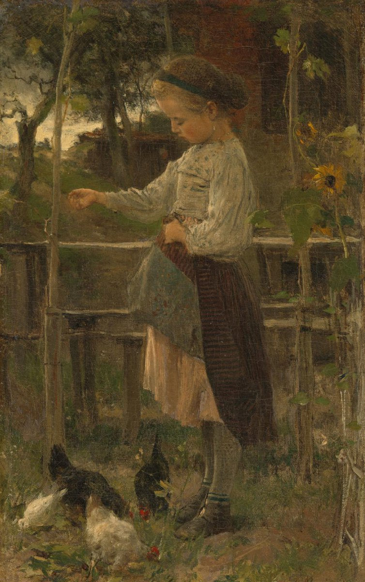 Feeding Chickens