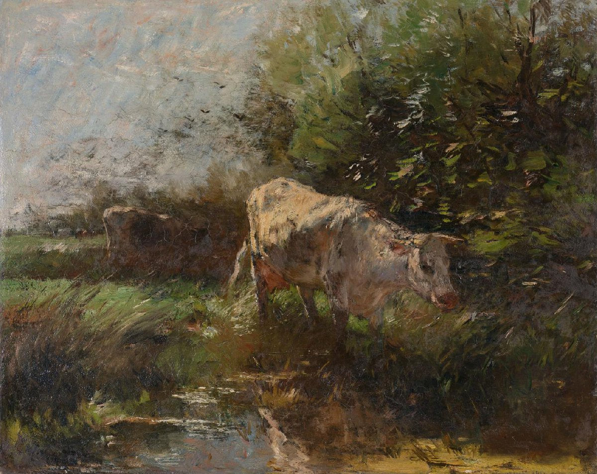 Meadow with Cows