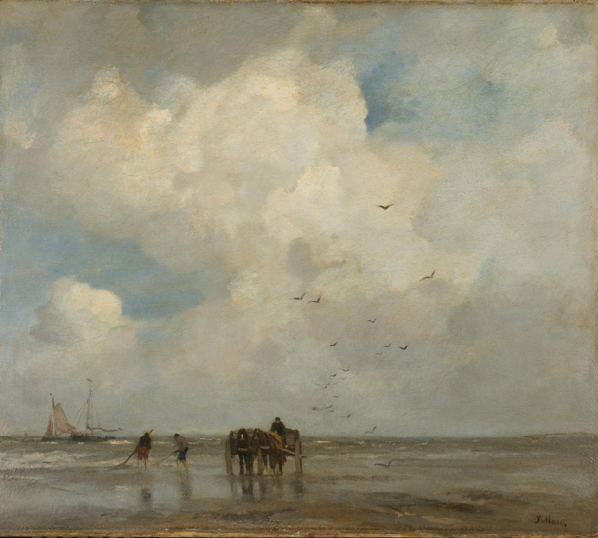 Fishing for Shells