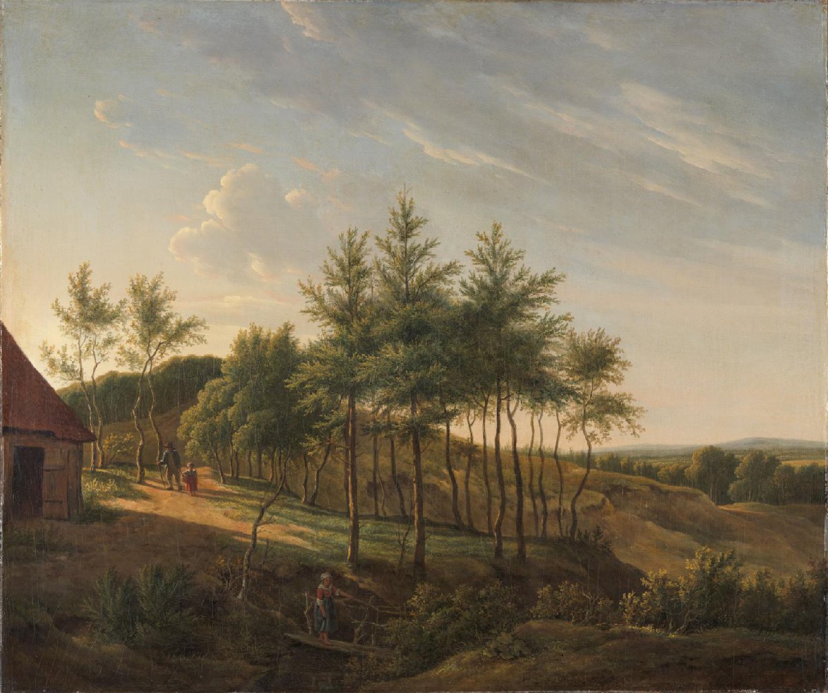 Hilly Landscape